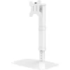 Techly ICA-LCD 260 monitorio stovas / laikiklis 68,6 cm (27 col.) stalas Baltas