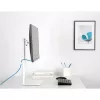 Techly ICA-LCD 260 monitorio stovas / laikiklis 68,6 cm (27 col.) stalas Baltas