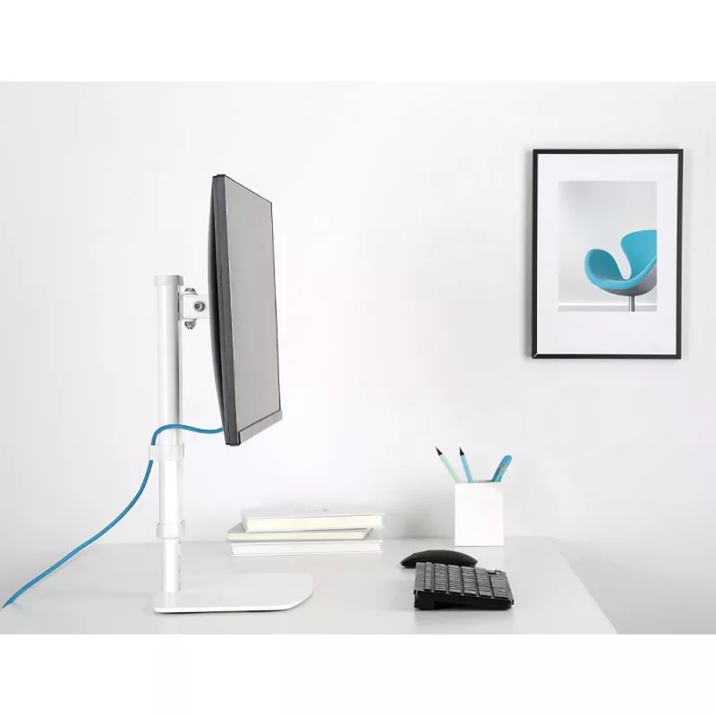 Techly ICA-LCD 260 monitorio stovas / laikiklis 68,6 cm (27 col.) stalas Baltas