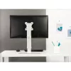 Techly ICA-LCD 260 monitorio stovas / laikiklis 68,6 cm (27 col.) stalas Baltas