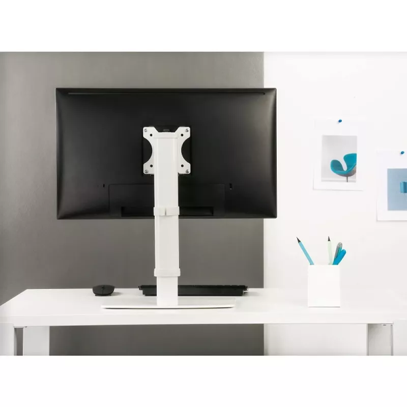 Techly ICA-LCD 260 monitorio stovas / laikiklis 68,6 cm (27 col.) stalas Baltas