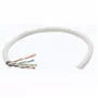 Intellinet Network Bulk Cat6 kabelis, 23 AWG, vientisa viela, 305 m, pilka, CCA, U/UTP, dėžė