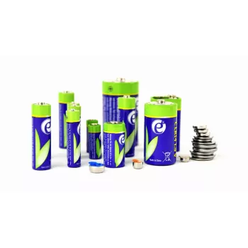 Vienkartinė baterija Gembird EG-BA-CR2032-01 (2 vnt.)