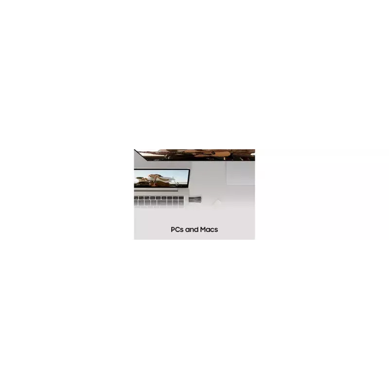 Samsung MUF-256BE USB atmintukas 256 GB USB Type-A 3.2 Gen 1 (3.1 Gen 1) Pilka