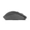 Pelė NATEC Falcon Office dešinei rankai Bluetooth