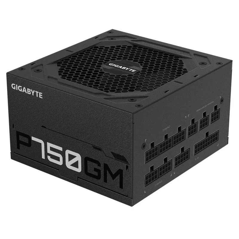 Gigabyte P750GM Maitinimo blokas 750 W Efektyvumas 80 PLUS GOLD, PFC Aktyvus, MTBF 100000 val.