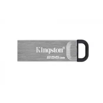 „Kingston Technology DataTraveler 256GB Kyson“ USB atmintukas
