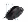 Kensington Pro Fit Ergo Wired USB Type-A pelė