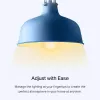 TP-Link Tapo L510E išmanioji Wi-Fi lemputė, reguliuojamo ryškumo
