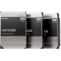 SYNOLOGY HAT5300 16TB 3.5 colio SATA III 7200 aps./min. kietasis diskas