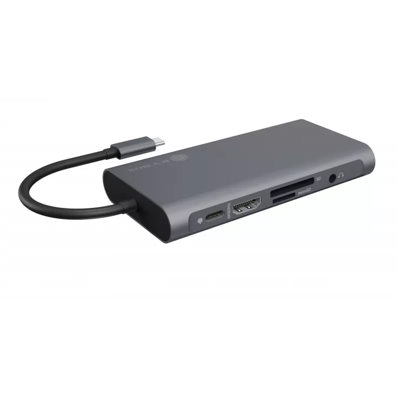ICY BOX IB-DK4040-CPD belaidė USB 3.2 Gen 1 (3.1 Gen 1) Type-C dokų stotelė, antracito, juoda