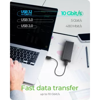 ICY BOX IB-1817MC-C31 Pilka M.2 išorinis SSD korpusas