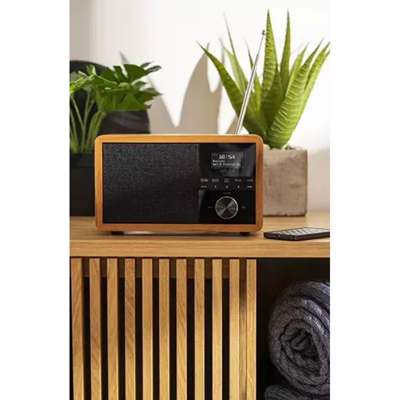 Nešiojamas radijas Adler AD 1184 su DAB+/FM/AM skaitmeniniu imtuvu, Bluetooth 5.0, 15W, SD/USB, žadintuvu, juoda/medis