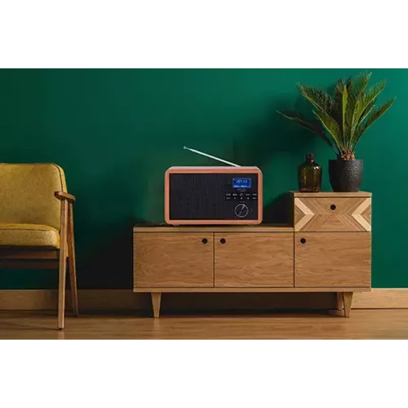 Nešiojamas radijas Adler AD 1184 su DAB+/FM/AM skaitmeniniu imtuvu, Bluetooth 5.0, 15W, SD/USB, žadintuvu, juoda/medis