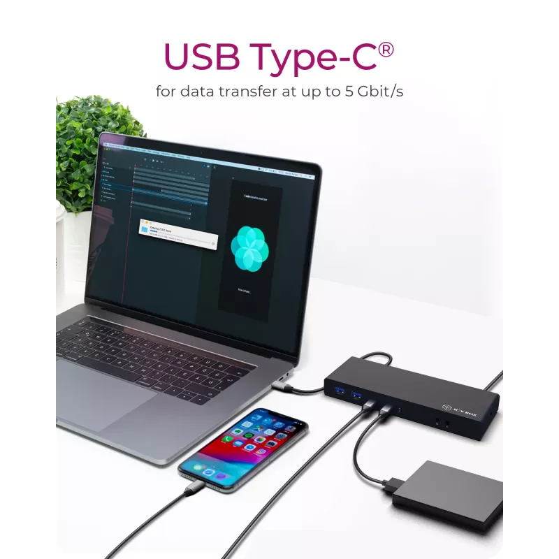 ICY BOX IB-DK2245AC belaidė stotelė USB 3.2 Gen 1 (3.1 Gen 1) Type-C juoda