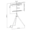 Grindinis TV laikiklis TECHLY ICA-TR18SAM 45–65 colių (114,3–165,1 cm), VESA 200x200–600x400, talpa 32 kg, riešutas