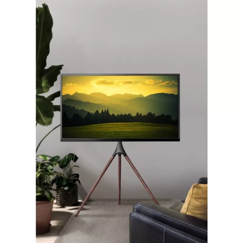 Grindinis TV laikiklis TECHLY ICA-TR18SAM 45–65 colių (114,3–165,1 cm), VESA 200x200–600x400, talpa 32 kg, riešutas