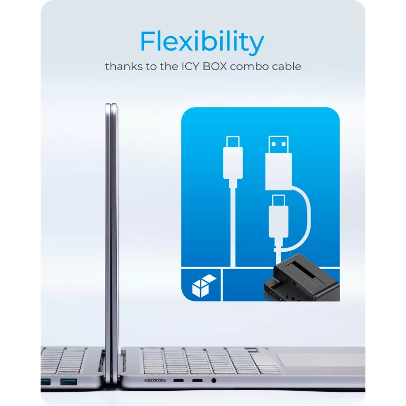 ICY BOX IB-2914MSCL-C31 USB 3.2 Gen 2 (3.1 Gen 2) Type-C juoda