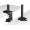Monitorinis stovas Gembird MA-DA-03, 32 colių, dviejų rankų, spaustuvas/varžtas, VESA 75x75–100x100, juodas