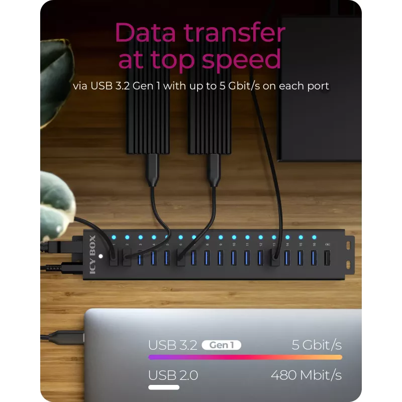 ICY BOX 17 prievadų USB 3.2 Gen 1 koncentratorius, 5 Gbit/s, juodas