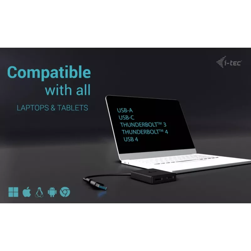 i-tec USB-A/USB-C Dual 4K/60 Hz DisplayPort vaizdo adapteris, 0,27 m