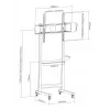 Techly ICA-TR74 TV laikiklis/stovas 2.29 m (90 colių) Juoda