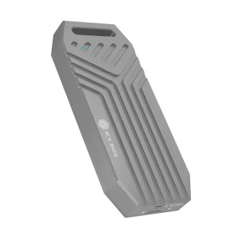 ICY BOX IB-1919M-C42 SSD korpusas M.2 sidabrinis