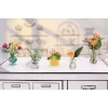 Miniverse - Make It Mini Botanicals, 8 metų, įvairiaspalvis, plastikas
