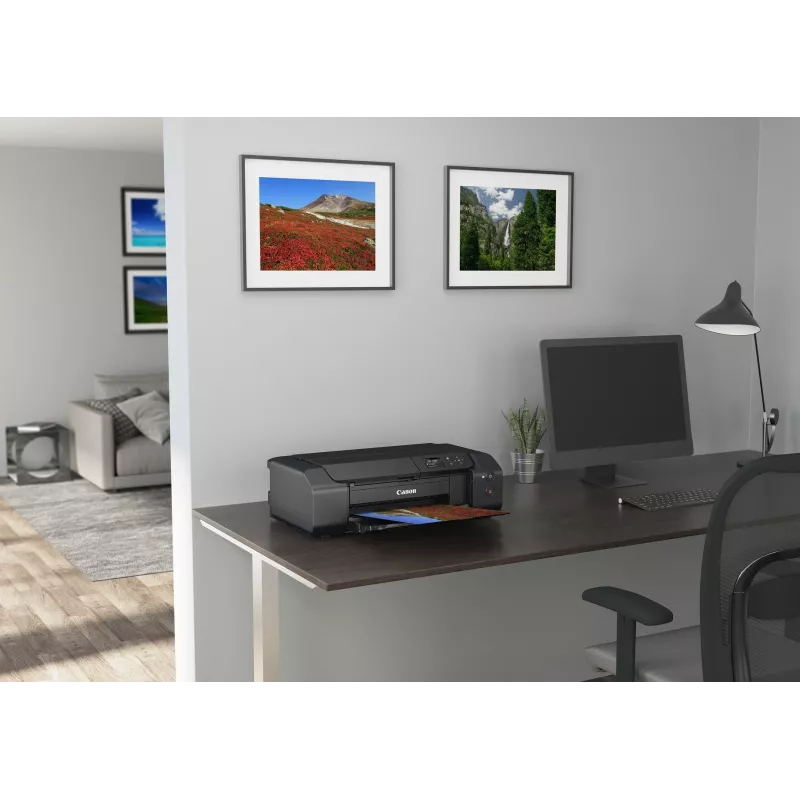 Canon PIXMA PRO-200s foto spausdintuvas rašalinis 4800 x 2400 DPI Wi-Fi