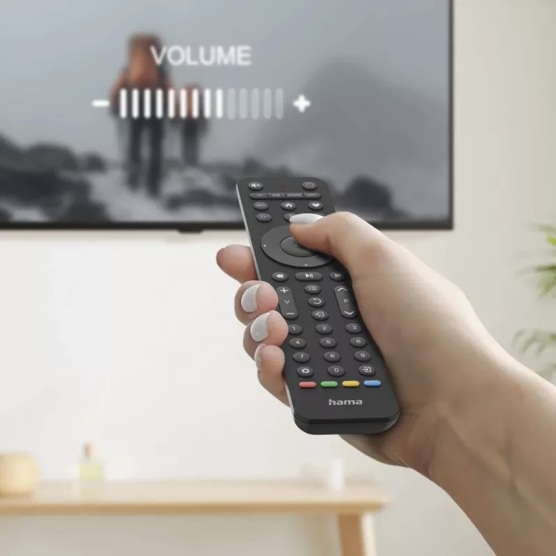 Hama 00221053 universalus nuotolinio valdymo pultas TV IR belaidis