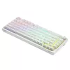 Gaming klaviatūra Savio Phenix WHITE GAT YELLOW USB Bluetooth QWERTY