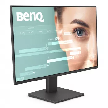 BenQ GW2491 23.8 colių Full HD LED monitorius juodas