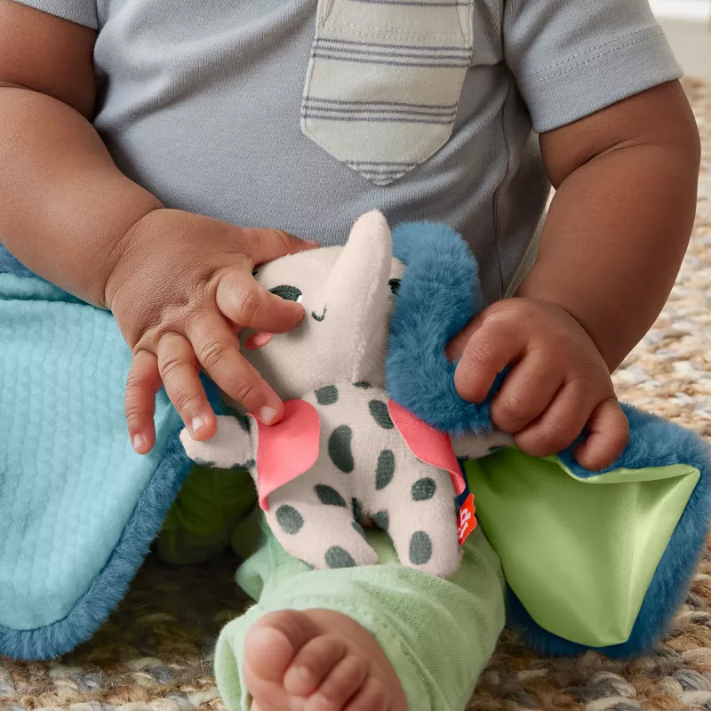 Minkštas žaislas MATTEL Fisher-Price Planet Friends Giant Ear Elephant HKD63, dramblio kompanionas