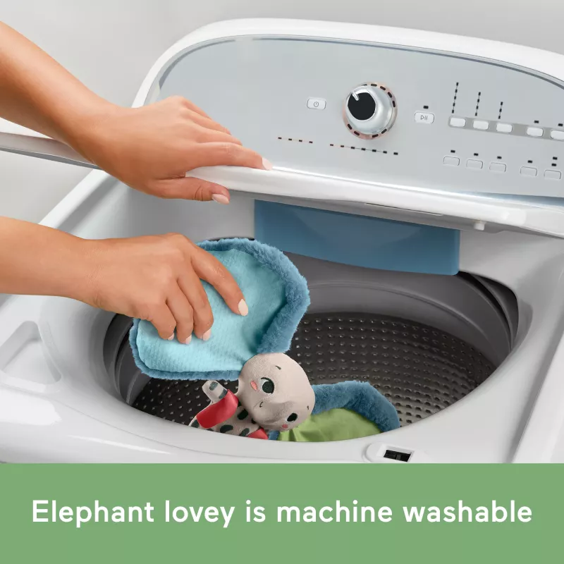 Minkštas žaislas MATTEL Fisher-Price Planet Friends Giant Ear Elephant HKD63, dramblio kompanionas