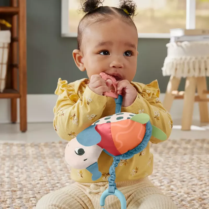 Fisher-Price Planet Friends Sea Me Bounce Vėžlys minkštas žaislas vežimėliui