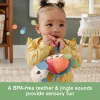 Fisher-Price Planet Friends Sea Me Bounce Vėžlys minkštas žaislas vežimėliui