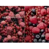 Įmontuojamas šaldytuvas Electrolux LNT6NE18S — 257 L, liečiamas valdymas, apatinis šaldiklis, No Frost, baltas