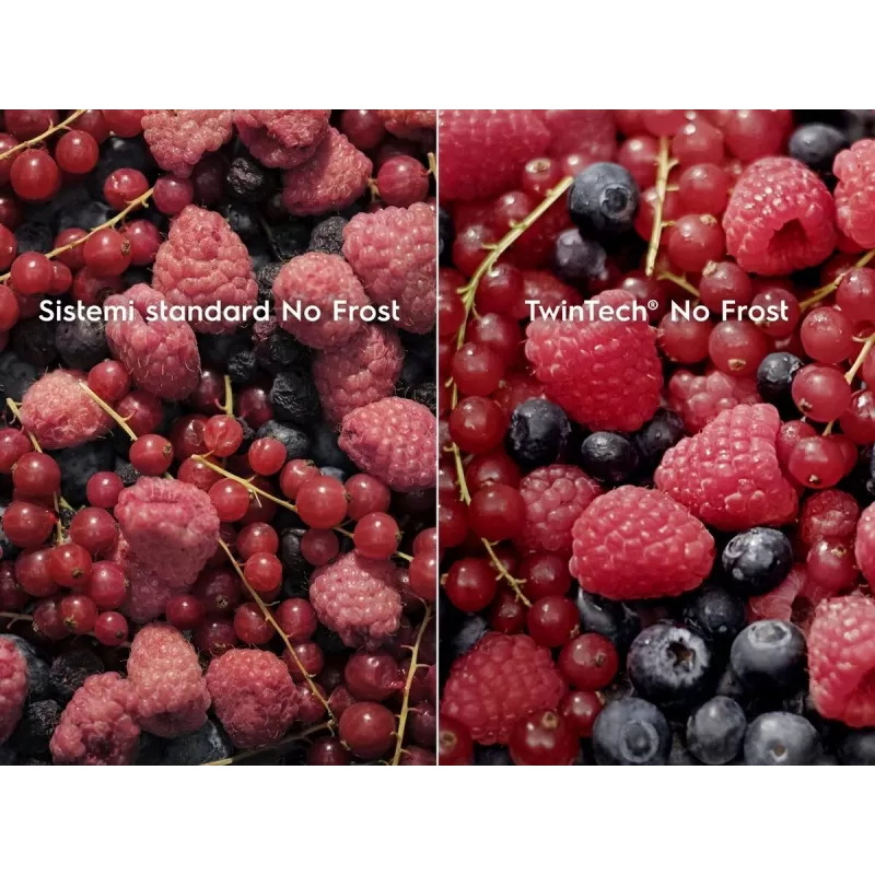 Įmontuojamas šaldytuvas Electrolux LNT6NE18S — 257 L, liečiamas valdymas, apatinis šaldiklis, No Frost, baltas