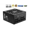 MSI MPG A1250GS PCIE5 maitinimo blokas 1250 W 20+4 pin ATX ATX juodas