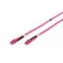 DIGITUS Fiber Optic Patch Cord, LC į LC, daugiamodis OM4 - 2 m; dupleksas, spalva RAL4003