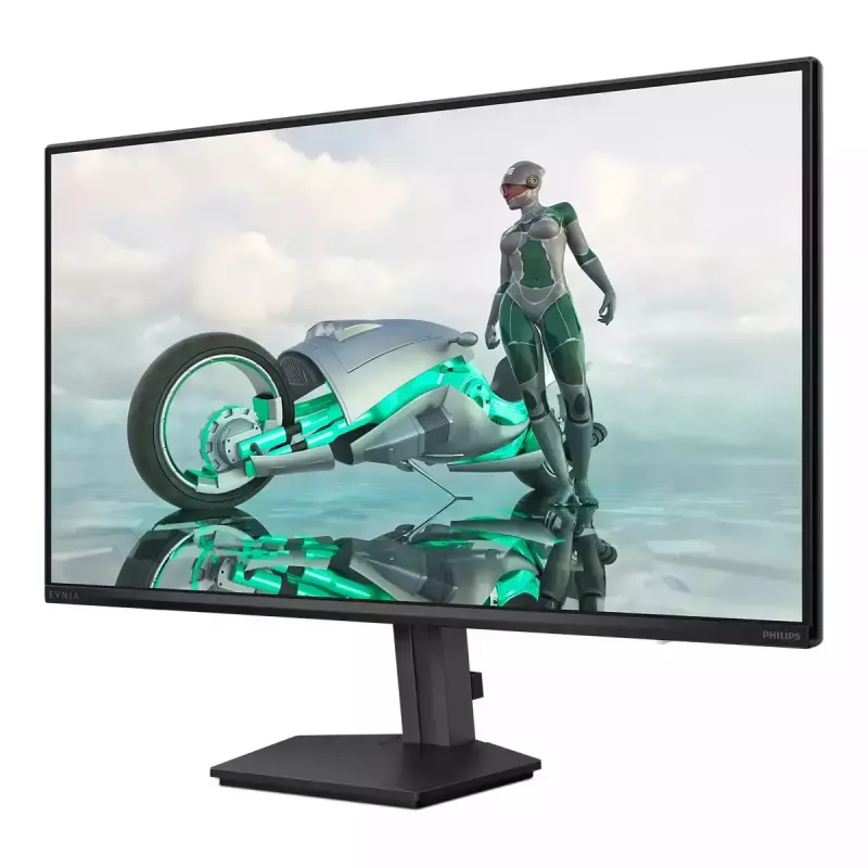 Philips Evnia 3000 24M2N3200NF/00 monitor 60,5 cm (23,8 colio) 1920 x 1080 pikselių Full HD LCD juodas