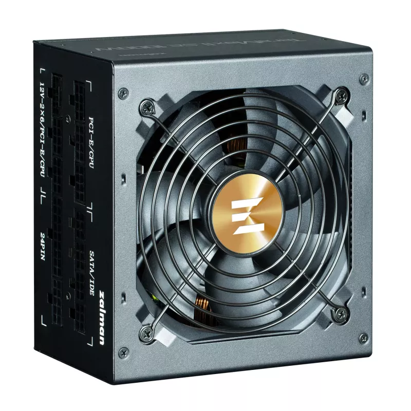 Zalman TeramaxII SE maitinimo blokas 1000 W 18+10 pin ATX ATX juodas