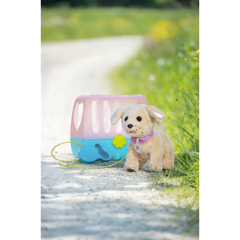 Šuo žaislinis ZAPF BABY born My Dog Lucky su dėže – tekstilė/plastikas, įvairiaspalvis, 3–12 m., reikalingi 4×AAA