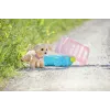 Šuo žaislinis ZAPF BABY born My Dog Lucky su dėže – tekstilė/plastikas, įvairiaspalvis, 3–12 m., reikalingi 4×AAA