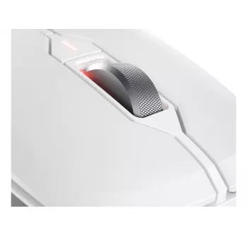 Belaidis klaviatūros ir pelės rinkinys CHERRY STREAM DESKTOP COMFORT, pilno dydžio, QWERTZ