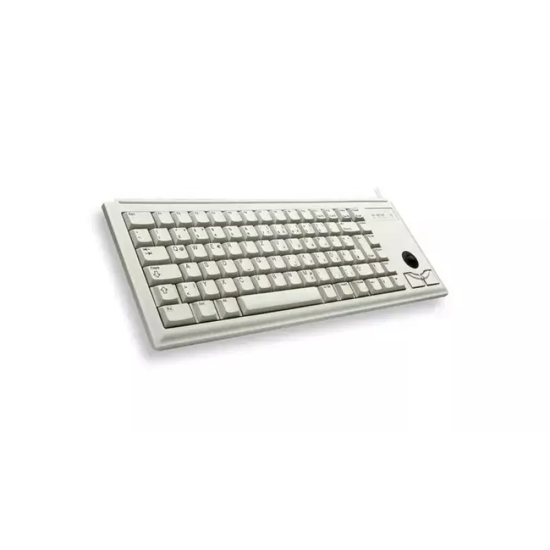 CHERRY G84-4400 klaviatūra universali USB QWERTY JAV anglų pilka
