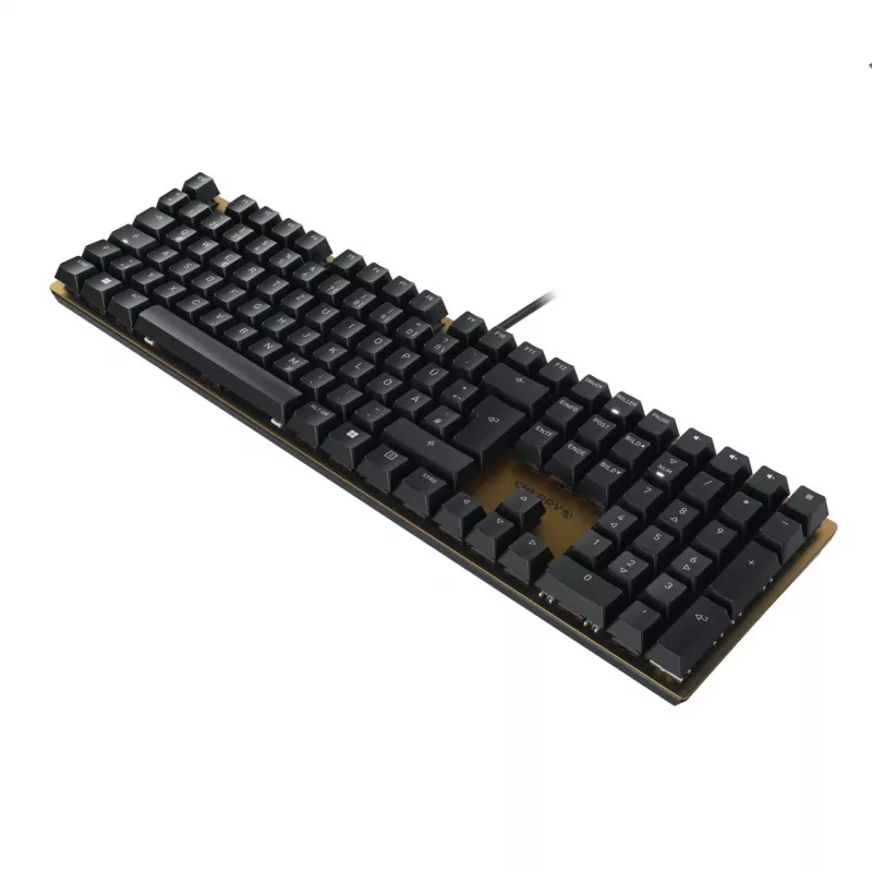 CHERRY KC 200 MX klaviatūra USB QWERTZ vokiška juoda, bronzinė