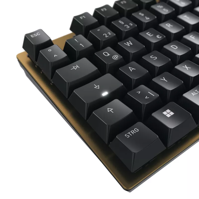 CHERRY KC 200 MX klaviatūra USB QWERTZ vokiška juoda, bronzinė