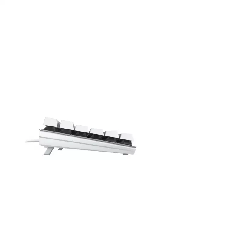 Mechaninė klaviatūra CHERRY KC 200 MX Universal USB QWERTZ Vokiška Sidabrinė Balta Mechaninė 109 klavišų