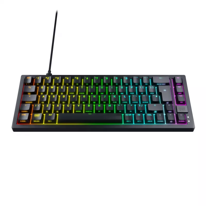 CHERRY K5V2 Kompaktiška klaviatūra žaidimams USB QWERTZ Juoda 68 klavišai RGB LED